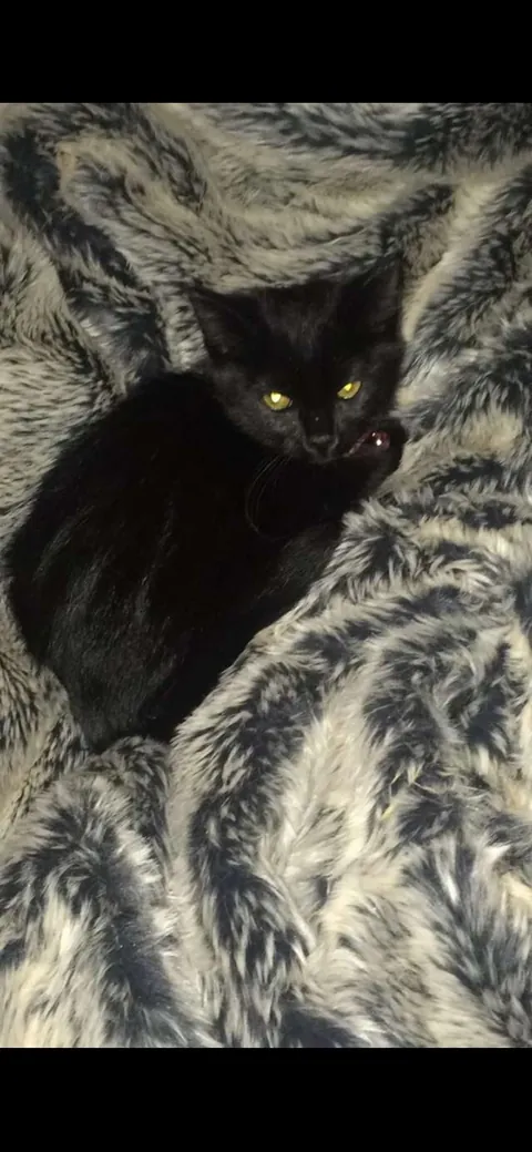 I’m sorry for the sad post. My girl is home.