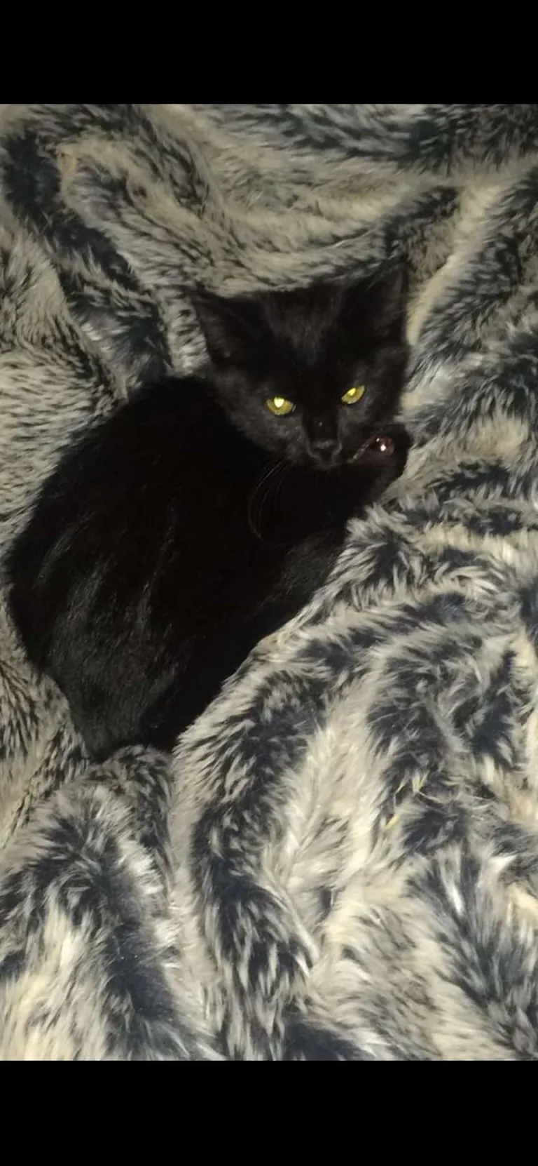 I’m sorry for the sad post. My girl is home.