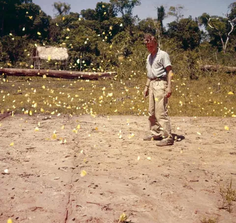 The first adventures photos of David Attenborough, in 1950s.