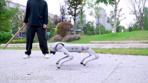 New Unitree Go2 video showing increased balance and mobility