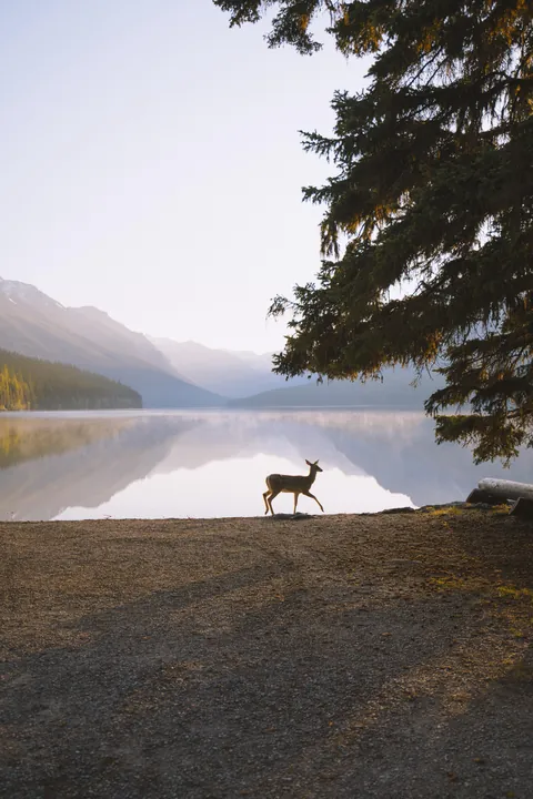 Right place, right time.