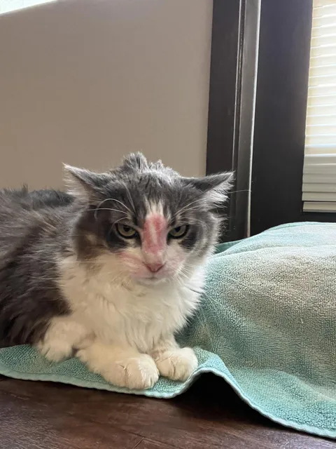 my roommate’s unhappy victim