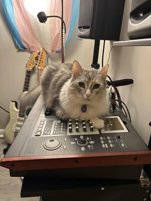 My little sound engineer