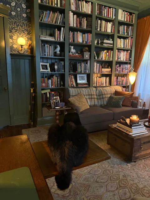 A cozy afternoon in my home library