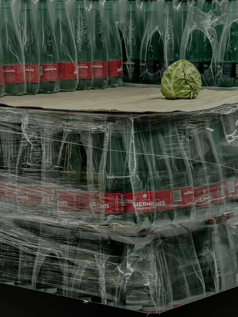 Winners of the 2025 Sony World Photography Awards