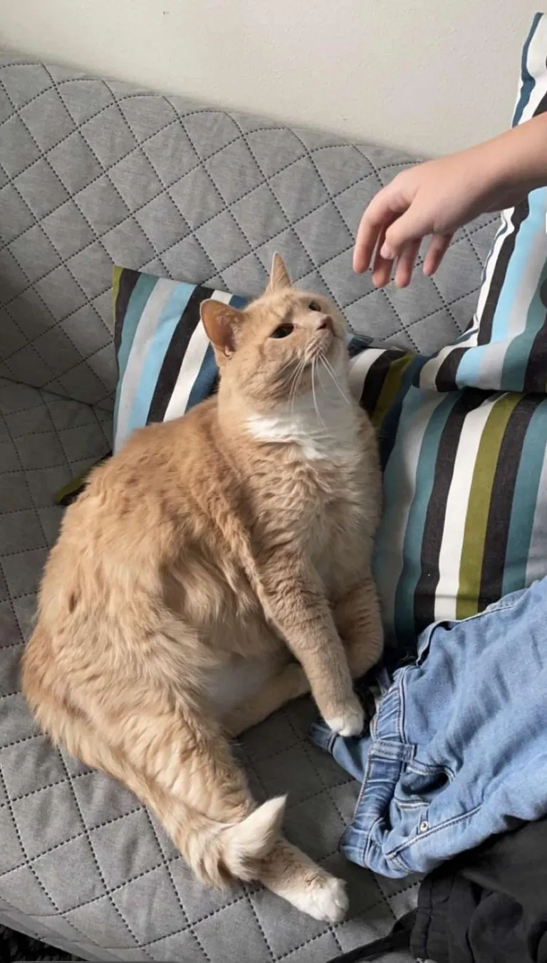 Rest in peace big dawg