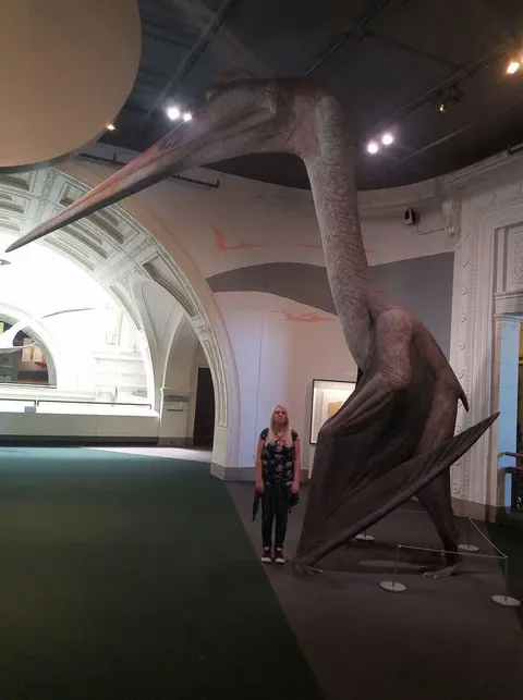The true size Quetzalcoatlus, compared to a normal person