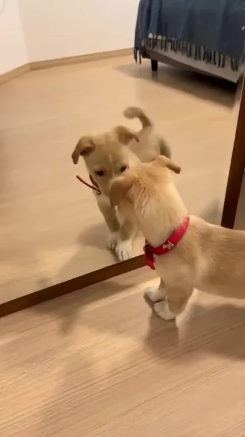 What? Who's that? 😂