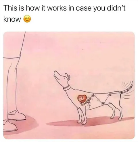 This is what really happens