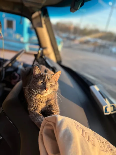 Lola is a truck driver 🚛!! She is 11 years old. 🙂