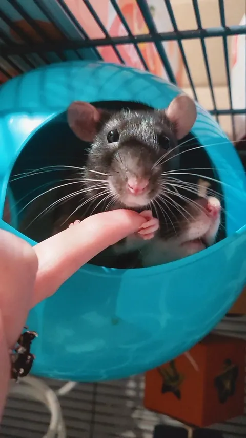 AITA if I ask for a refund on my manicure