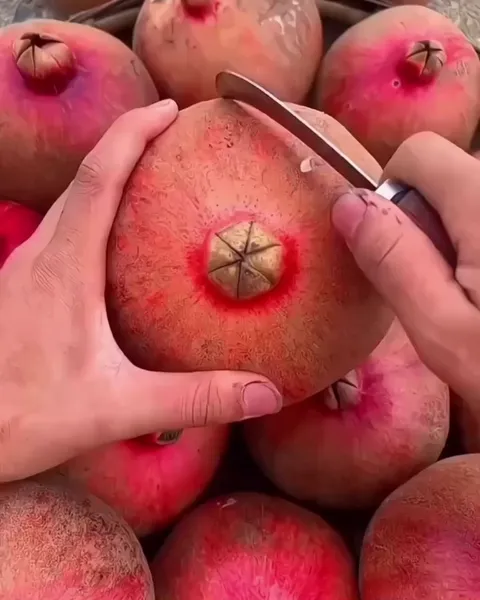 Cutting a freshly plucked Pomegranate