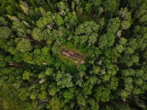 Abandoned trains in the woods of Maine