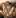 African missionary view