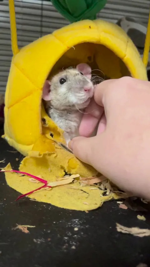 She’s always been the happiest girl