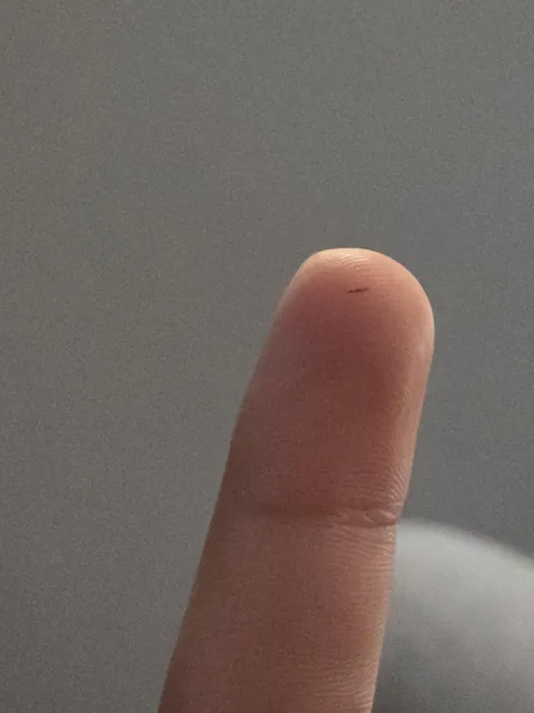 Got a splinter from my own beard in the middle of an argument with my gf about my beard being dry
