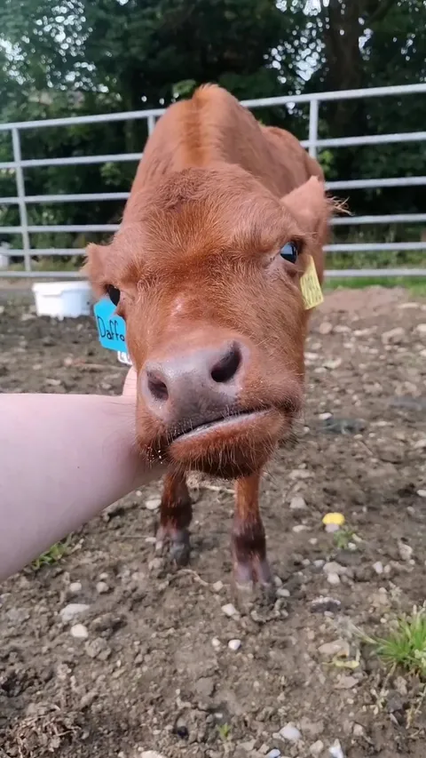 It seems like I found the best spot for scratches!