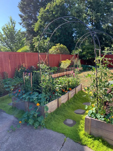 When the Airbnb say there’s a garden side pool and you show up to this