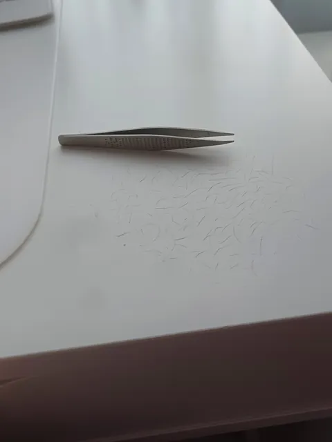 My sister plucked out her knee hairs because they're "too hard to shave" and left them on my desk😭