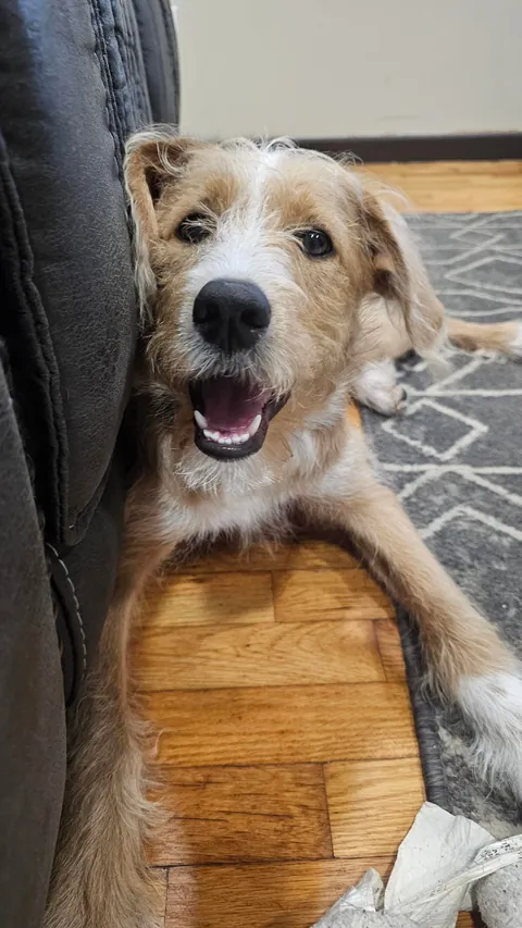 Don't chew the tag.... okay! 😁