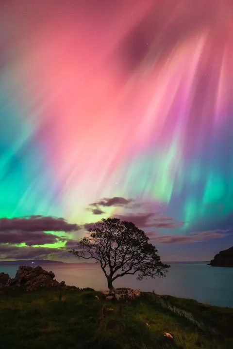 Murlough bay, Northern Ireland, [1365x2048] [OC] northern lights