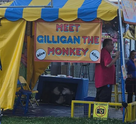 Weird Booth At A Carnival