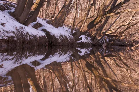 I took this photograph while standing in a river.