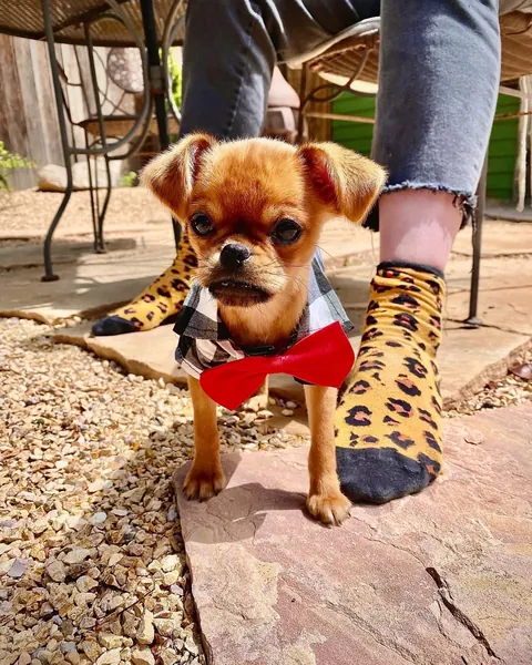 Folks call him DA BOY round these parts, his legal name is Mo