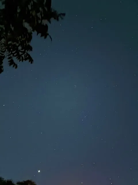 what are these “?” stars?