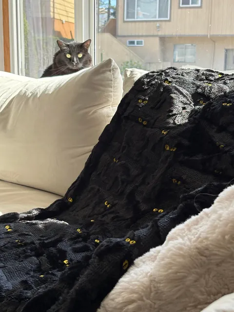 Dad found the blanket