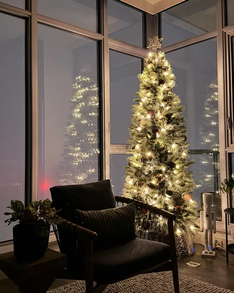 Enjoying the dense fog over the city by the Christmas tree corner