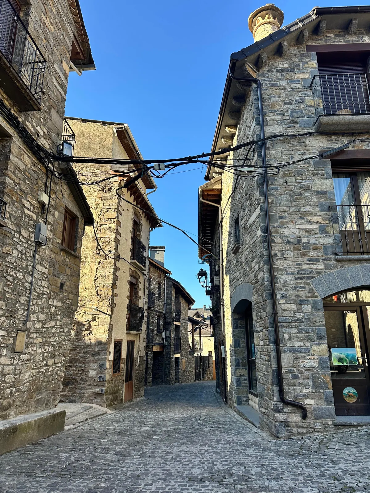 Just Chilling in the Nature (Spain)