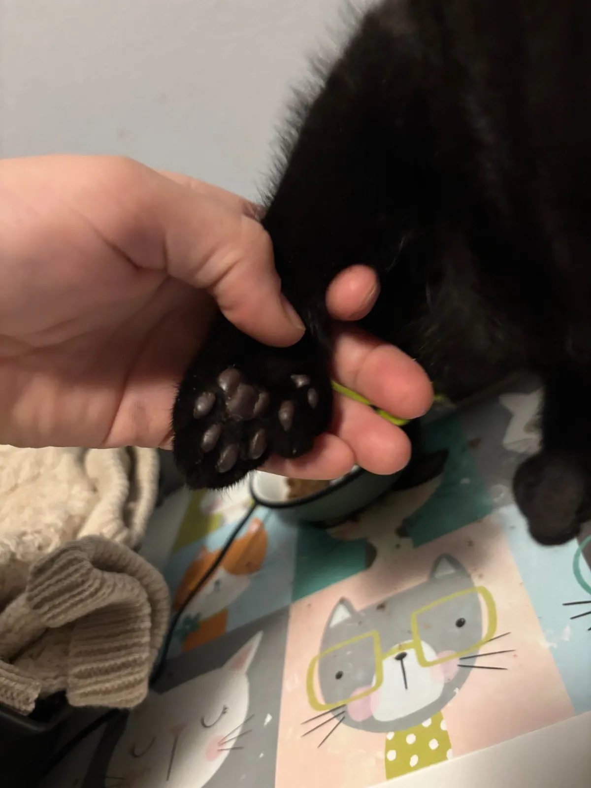 ”One void please! Could you do extra beans?”