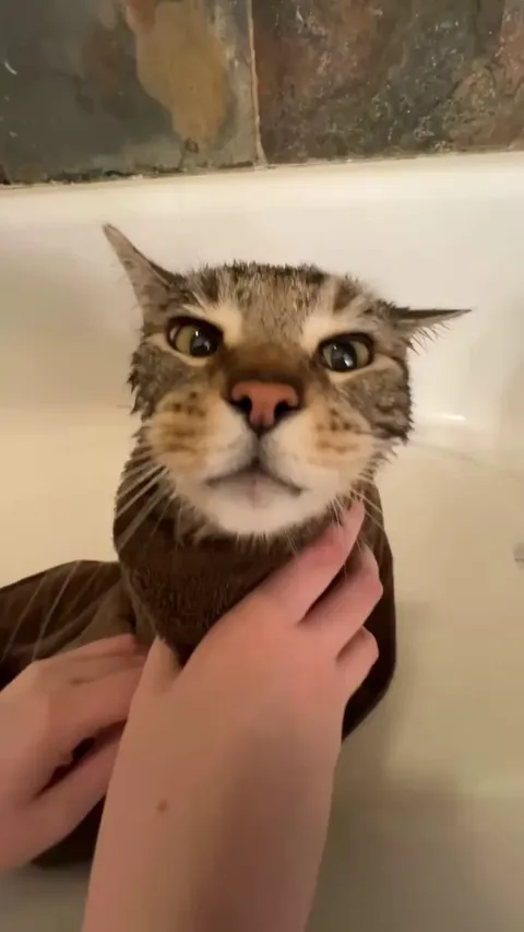 Please translate, looks like something important