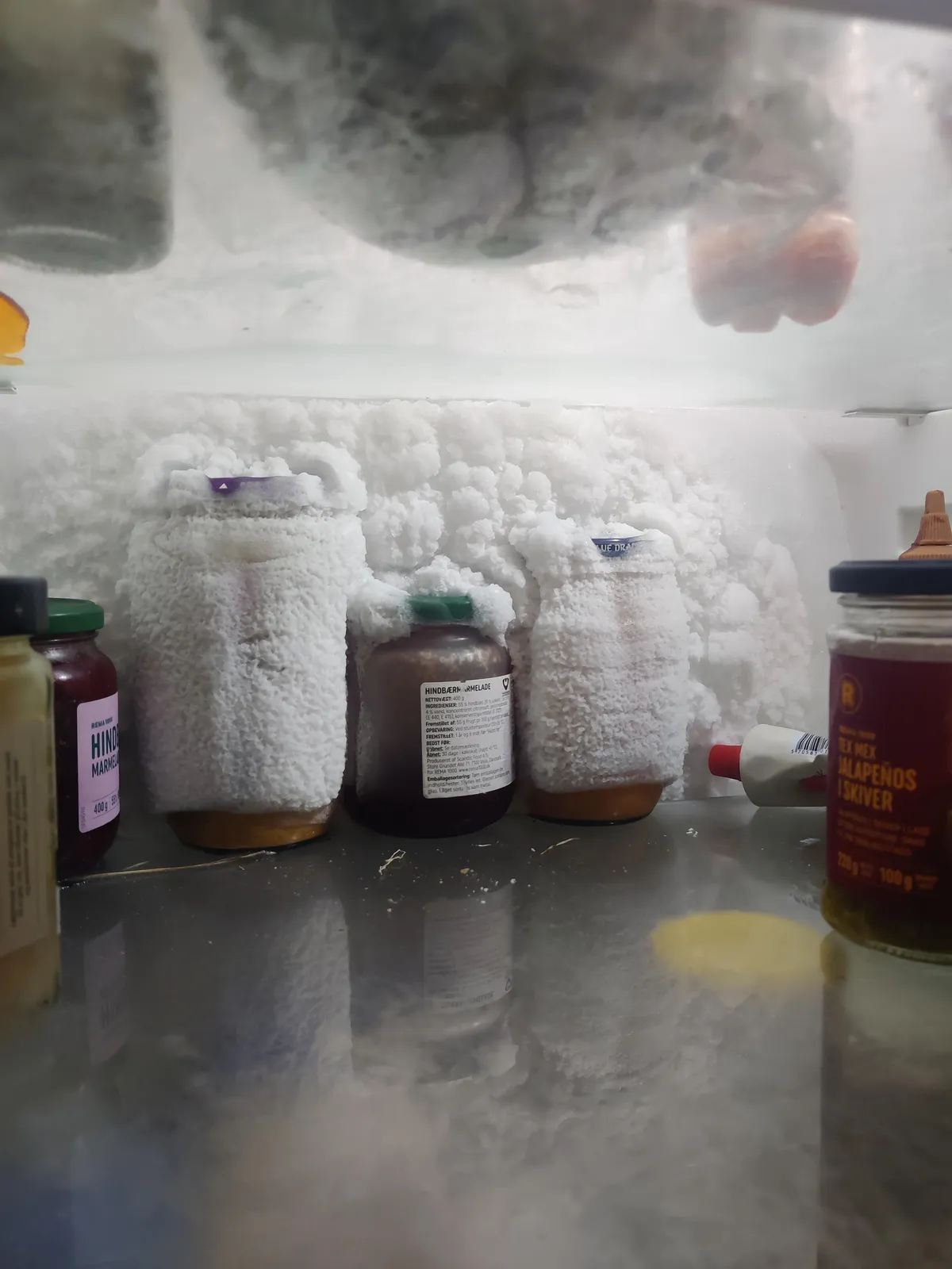 I forgot some things in the back of the fridge and now my fridge won't give it back!