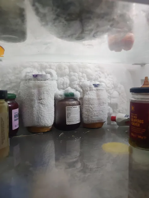 I forgot some things in the back of the fridge and now my fridge won't give it back!