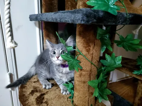 "You won't want to deal with it"