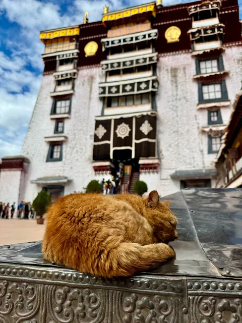 Three weeks in China