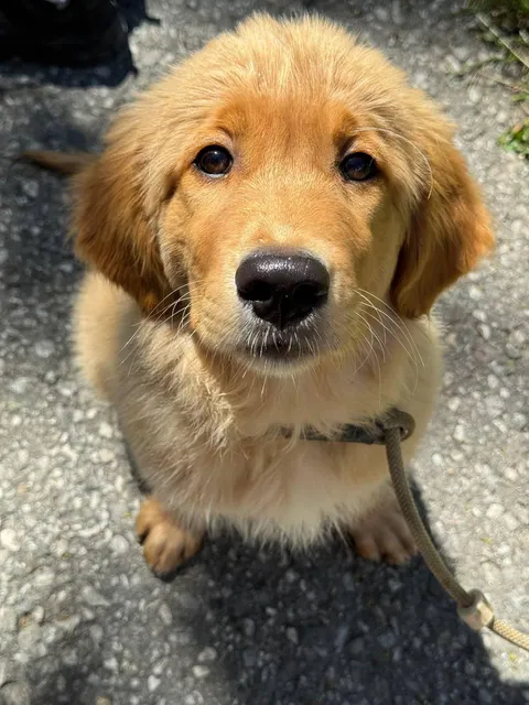 I could watch his stare all day