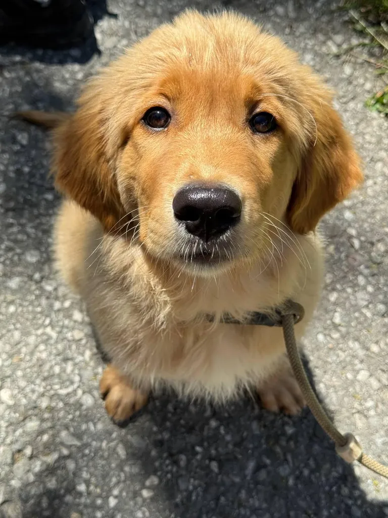 I could watch his stare all day