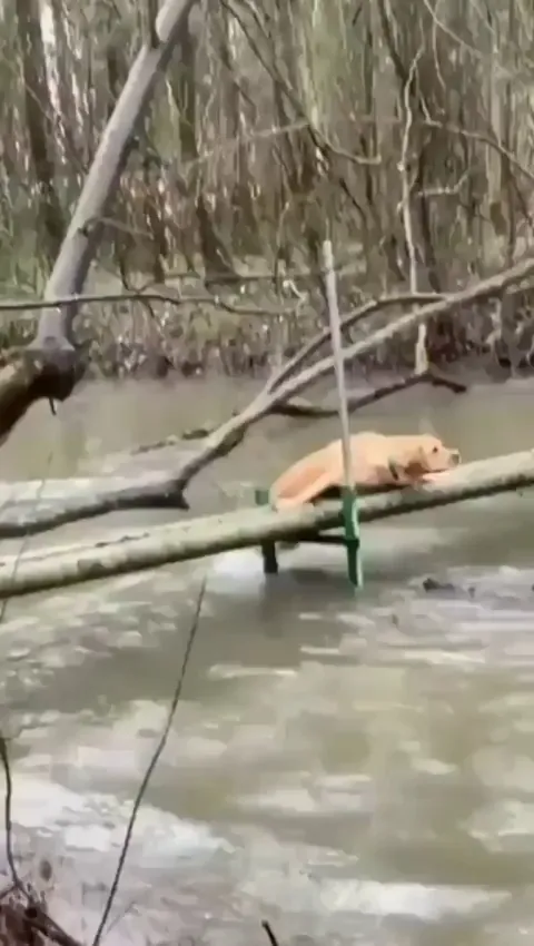 Help me bro!