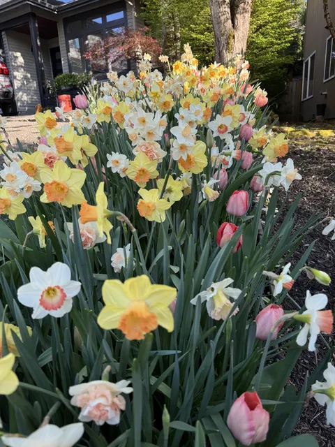 I may have gone overboard