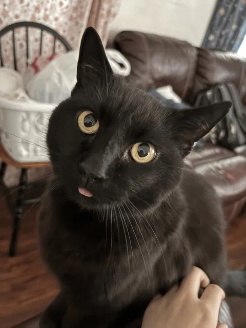 My twin sister took this photo and omg, I'm gonna cry