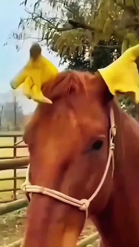 The end is always the best. Lol