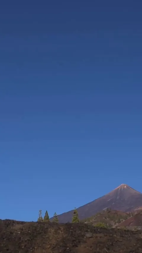 Silent mornings. Soft sun. Nude flow