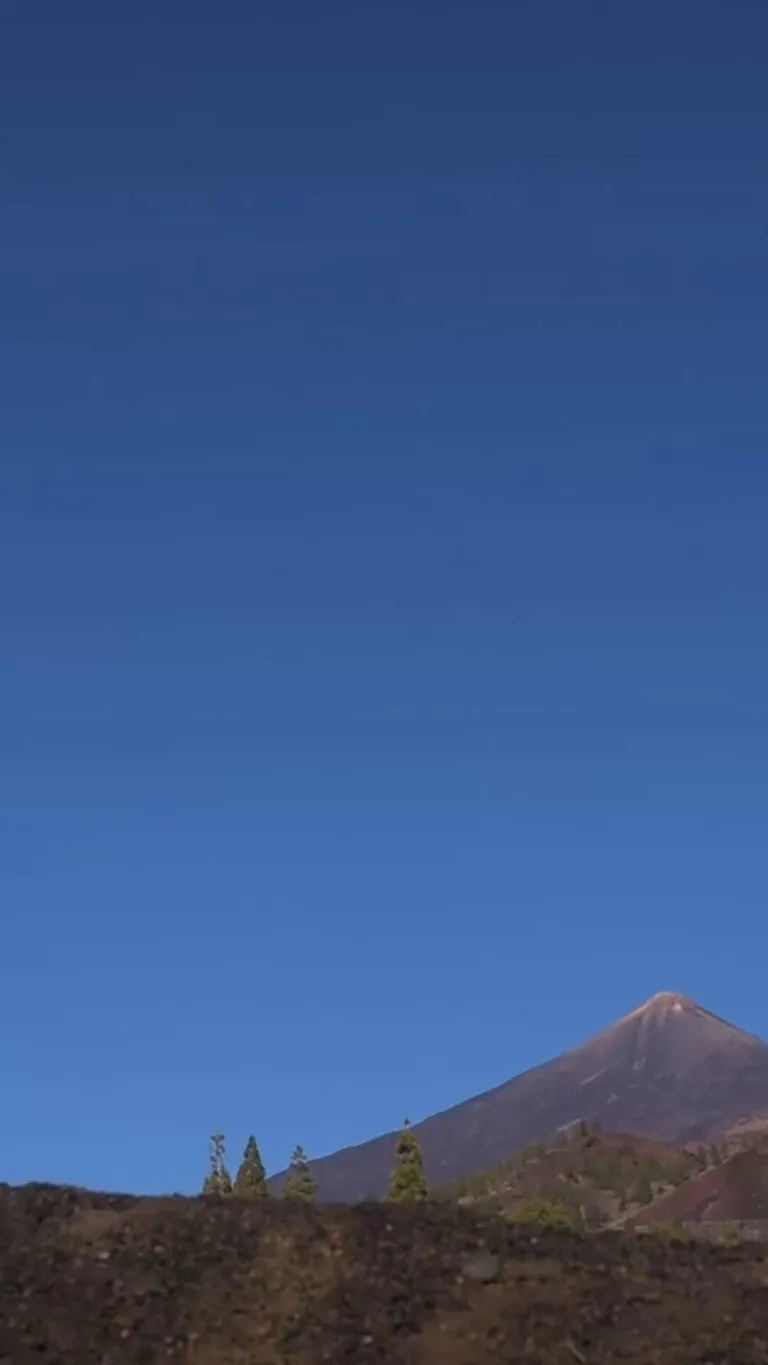 Silent mornings. Soft sun. Nude flow