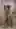 Passionate Kissing in Shower