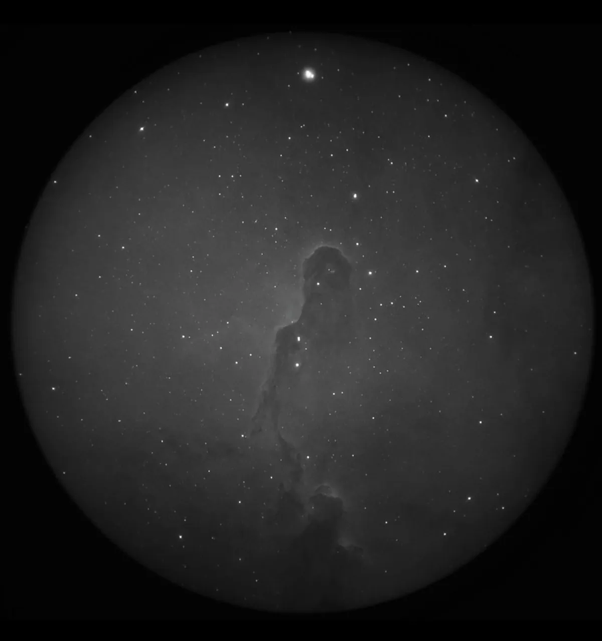 Nightvision with a 16 inch dob and 85mm refractor and iPhone