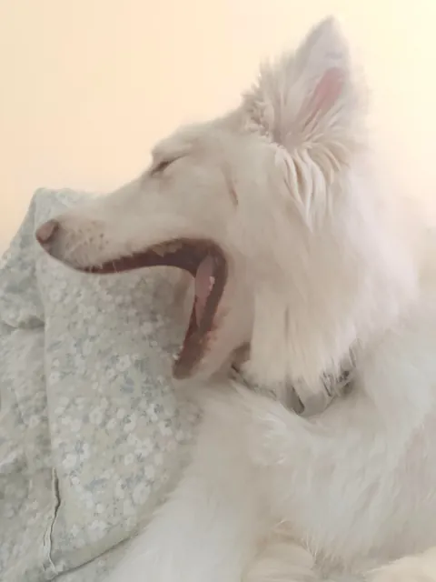 I promise she’s real!!