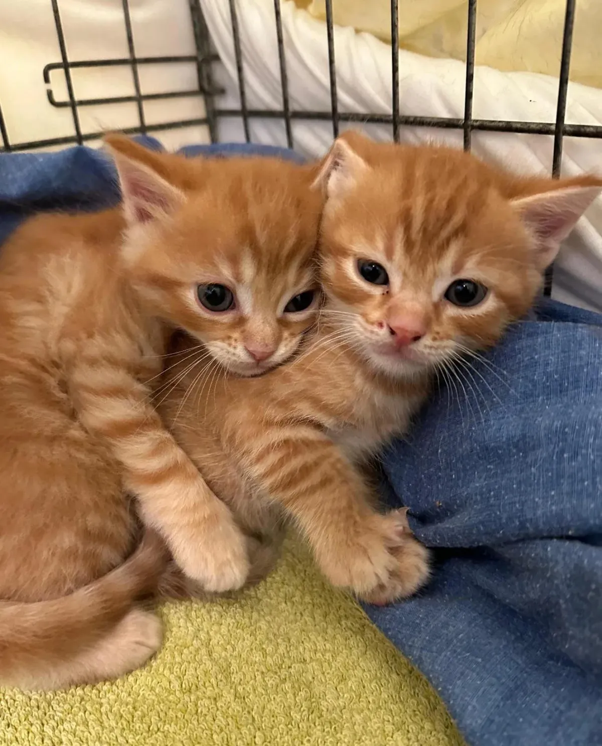 Brother and sister🥰